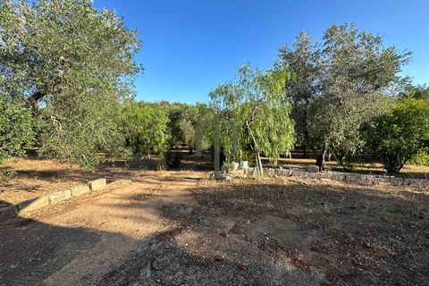 Ruïna a Ostuni, Brindisi, Ostuni - € 43.000 | Ref: Lamia Vite - foto 8